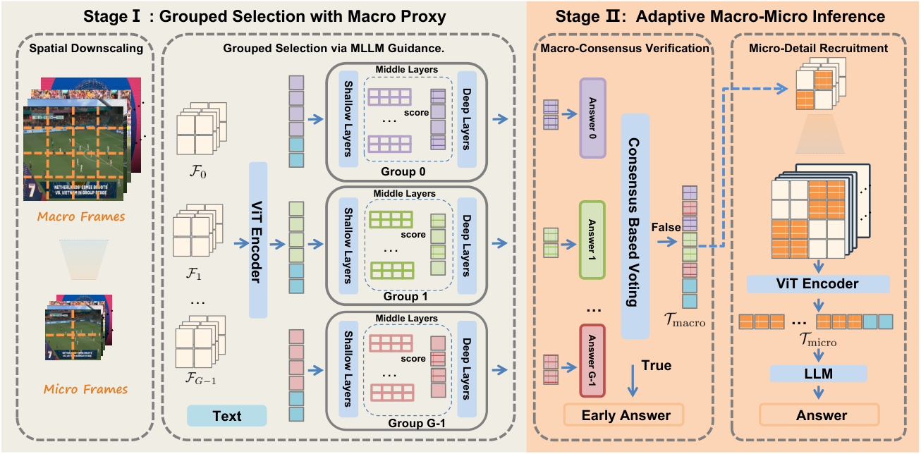 VideoMM: Adaptive Macro-Micro Inference for Efficient Video MLLMs 原论文 Figure 2