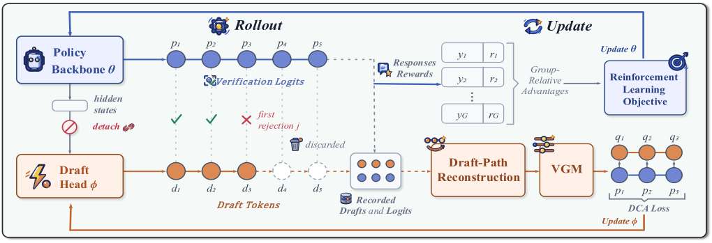 GrowMTP: Can RL Grow Its Own Draft Head? 原论文 Figure 2